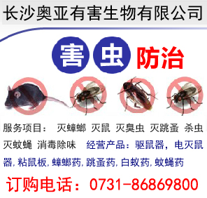 ����A(y��)���Ϳ��Ʒ���